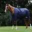 Saxon Defiant 600D Standard Neck 200g Turnout Blanket - Navy and White