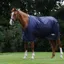 Saxon Defiant 600D Standard Neck 200g Turnout Blanket - Navy/White