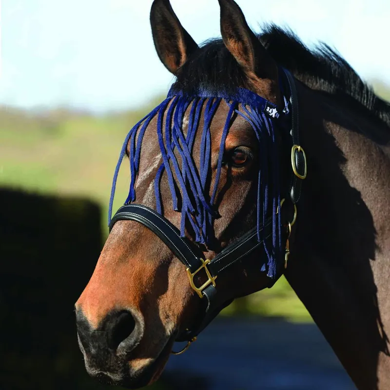 Saxon Fly Fringe - Navy