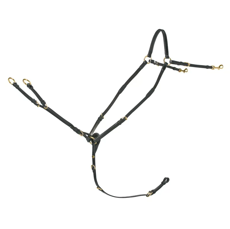 Schockemohle Race II Breastplate Black/Gold