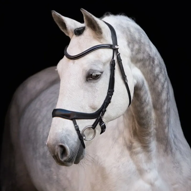 Schockemohle Equitus Alpha Anatomic Bridle - Black/Silver-1