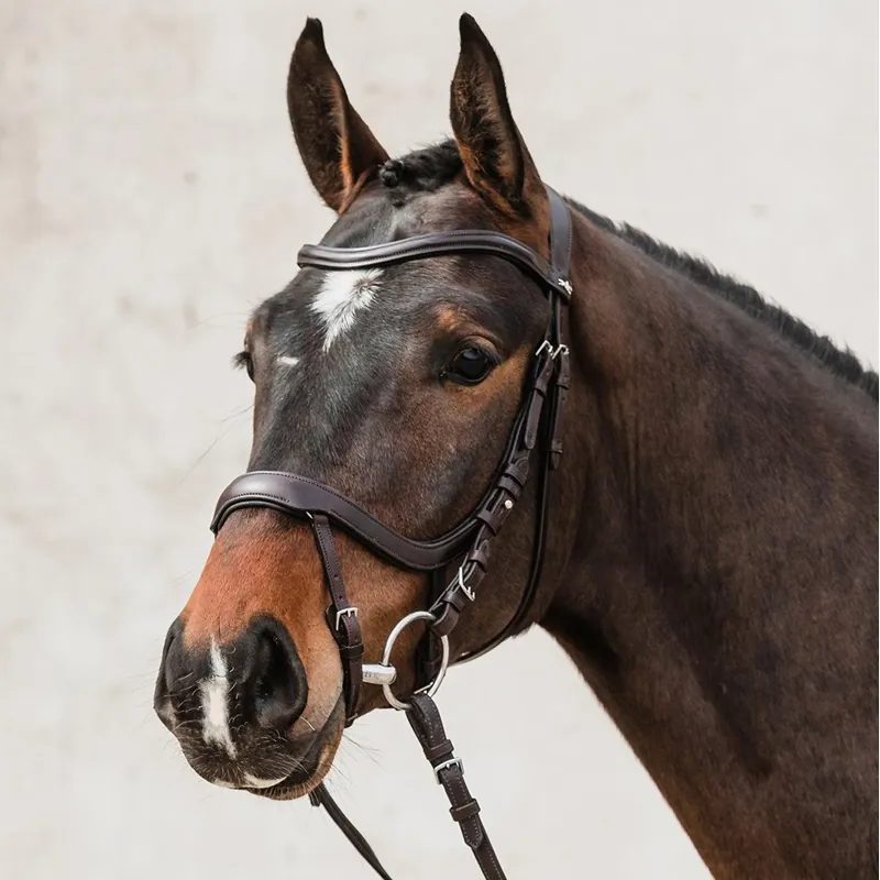 Schockemohle Equitus Alpha Anatomic Bridle - Espresso/Silver-2