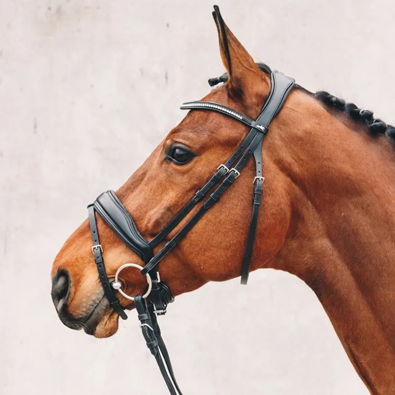 Schockemohle Stanford Anatomic Flash Bridle - Black/Silver-1