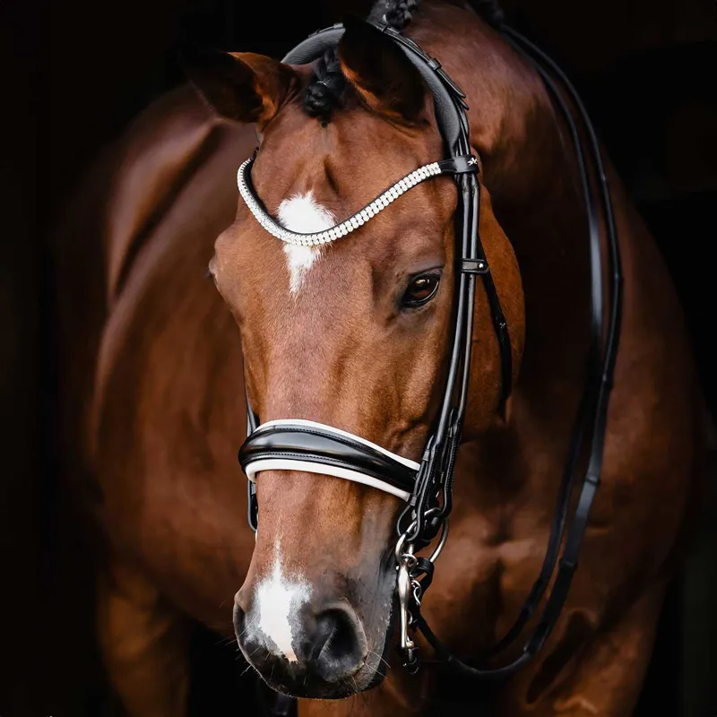 Schockemohle Isabell Werth Bella Rose Double Bridle - Black/White-1