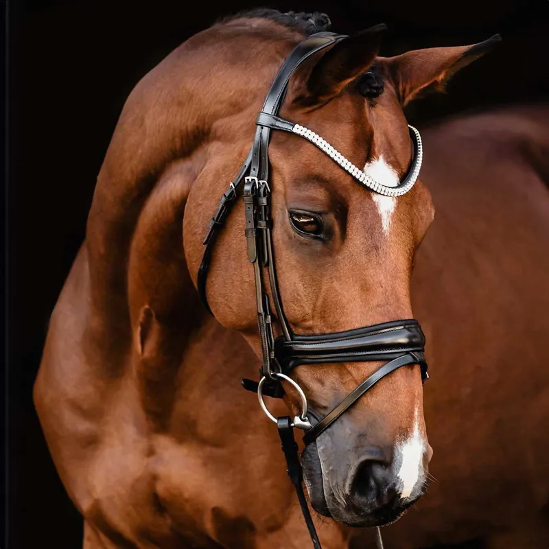 Schockemohle Isabell Werth Johnny Flash Bridle - Black/Silver-2