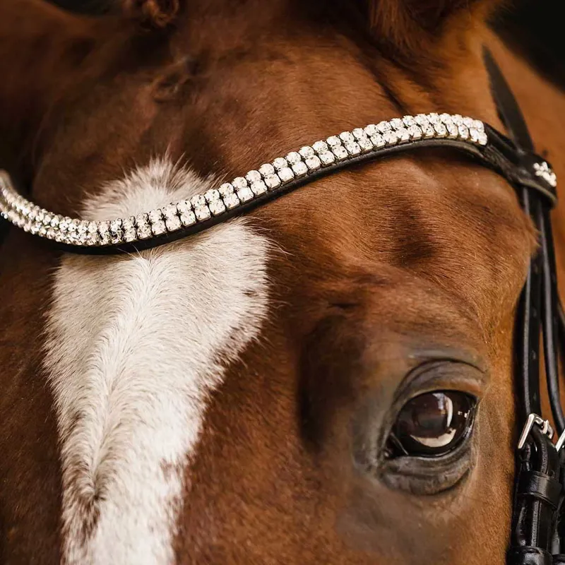 Schockemohle Isabell Werth Johnny Flash Bridle - Black/Silver-4