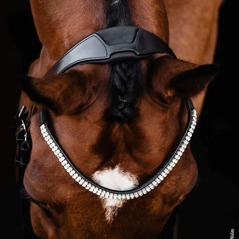 Schockemohle Isabell Werth Johnny Flash Bridle - Black/Silver-5