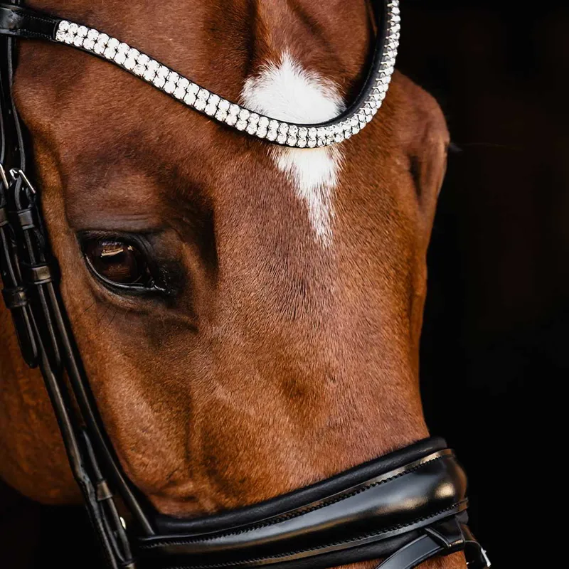 Schockemohle Isabell Werth Johnny Flash Bridle - Black/Silver-3