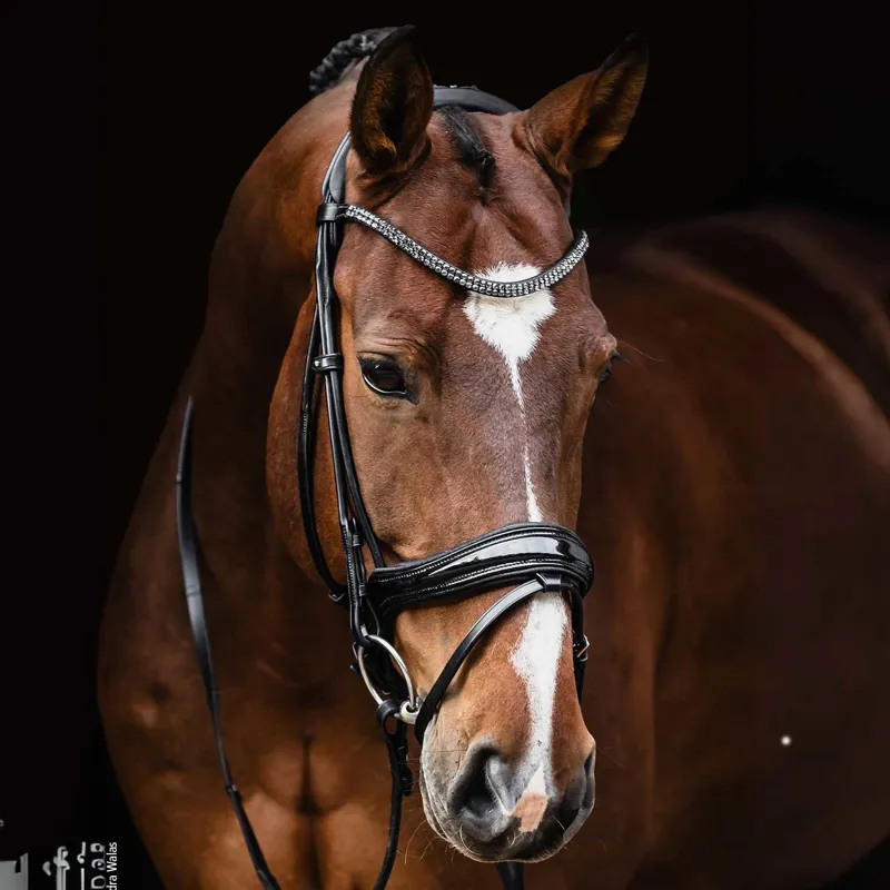Schockemohle Isabell Werth Satchmo Rolled Flash Bridle - Black/Patent-1