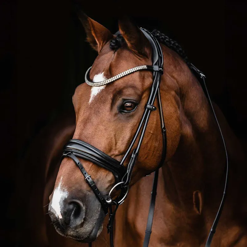 Schockemohle Isabell Werth Satchmo Rolled Flash Bridle - Black/Silver-1