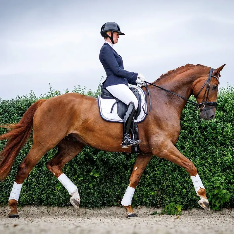 Schockemohle Eco Comfort Dressage Saddle Pad - White-1