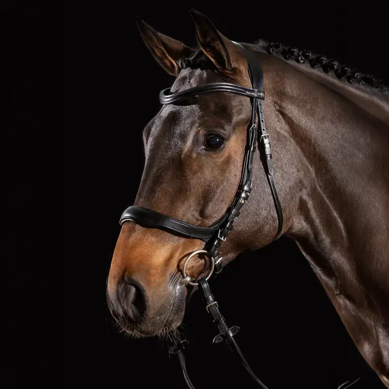 Schockemohle Equitus Delta Anatomic Bridle-Black/Silver-1