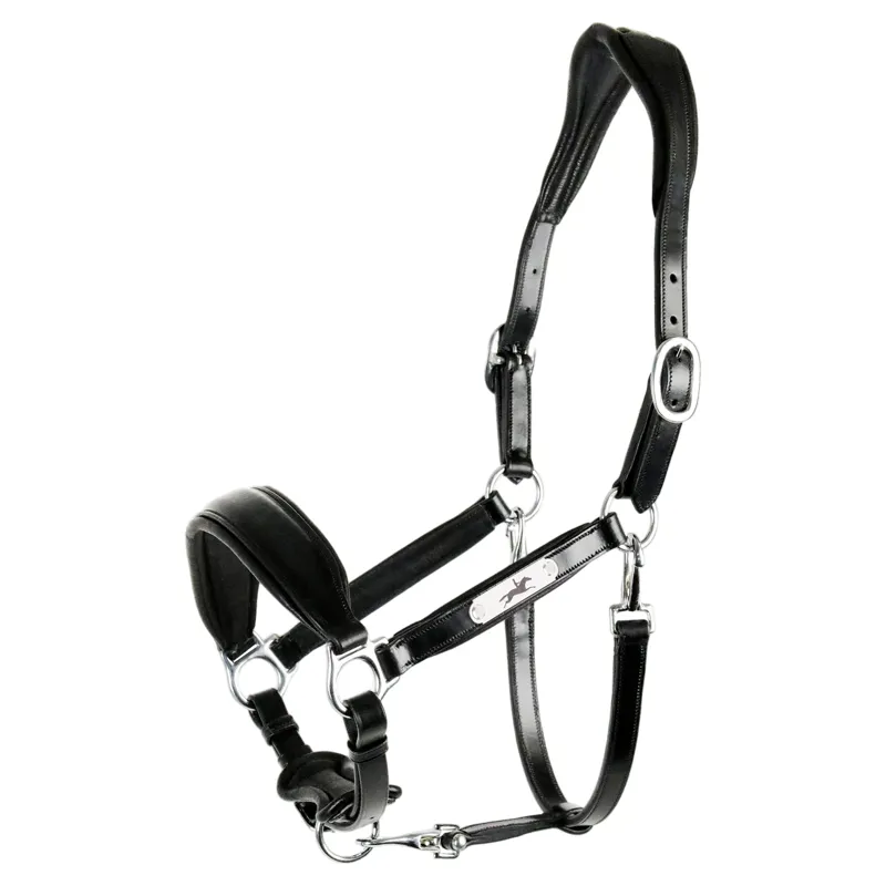 Schockemohle Fremont Pro Grooming Leather Halter - Black