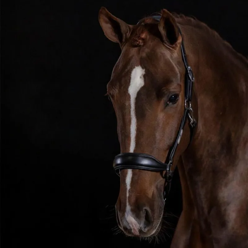 Schockemohle Fremont Pro Grooming Leather Halter - Black-1