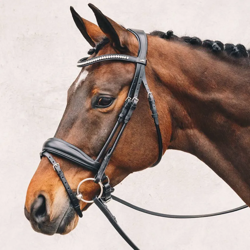 Schockemohle Malibu Anatomic Flash Bridle - Patent Black/Silver-2