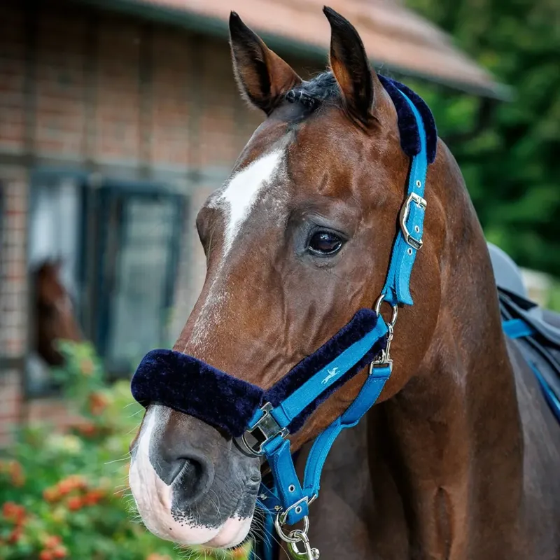 Schockemohle Melbourne Soft Style Halter - Colonial Blue-1