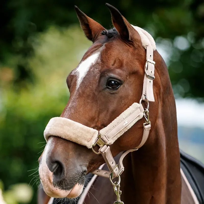 Schockemohle Melbourne Soft Style Halter - Stone-1
