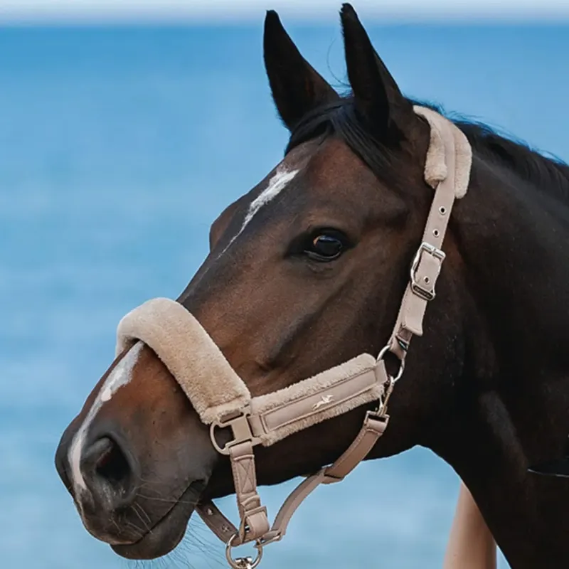 Schockemohle Melbourne Soft Style Halter - Stone-2