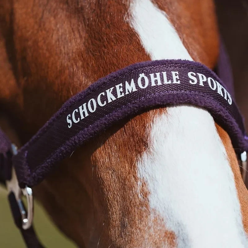 Schockemohle Memphis III Halter - Dark Purple-2