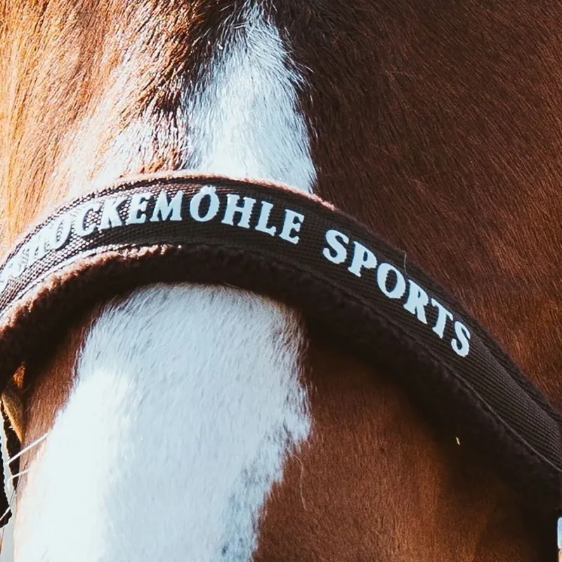 Schockemohle Memphis III Halter - Mocca-2
