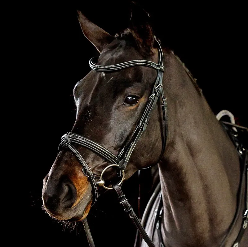 Schockemohle Tokyo F Select Removable Flash Bridle - Black/Silver-1
