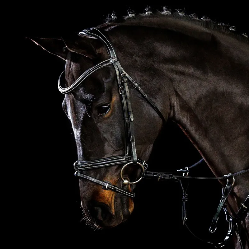 Schockemohle Tokyo F Select Removable Flash Bridle - Black/Silver-2