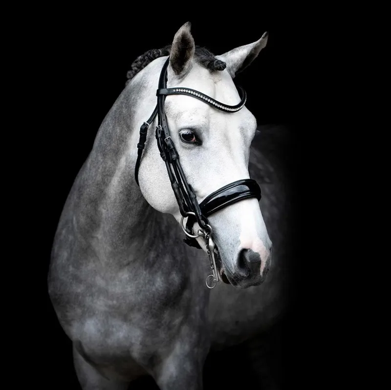 Schockemohle Venice Anatomic Double Bridle - Black Patent-1