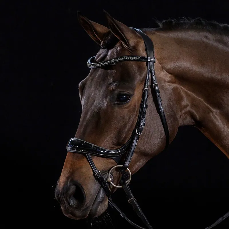 Schockemohle Equitus Beta Glam Anatomic Bridle - Patent Black-1