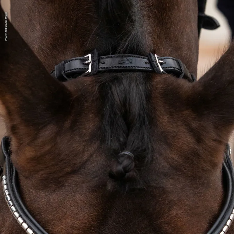 Schockemohle Equitus Rho Anatomic Crownpiece - Black-1