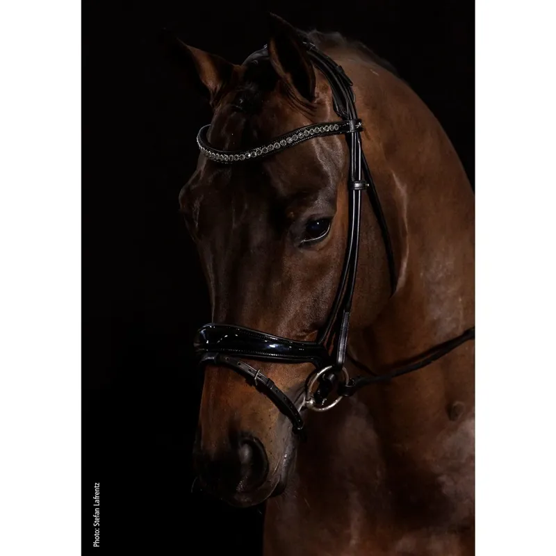 Schockemohle Westminster Flash Bridle - Patent Black-3