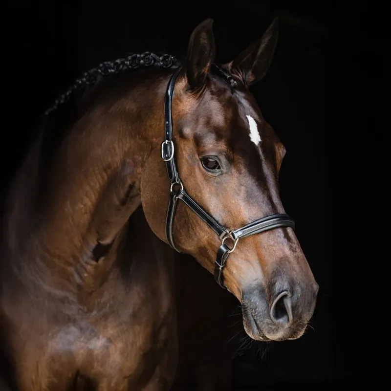 Schockemohle Ulm Pro Leather Halter - Black/Silver-1