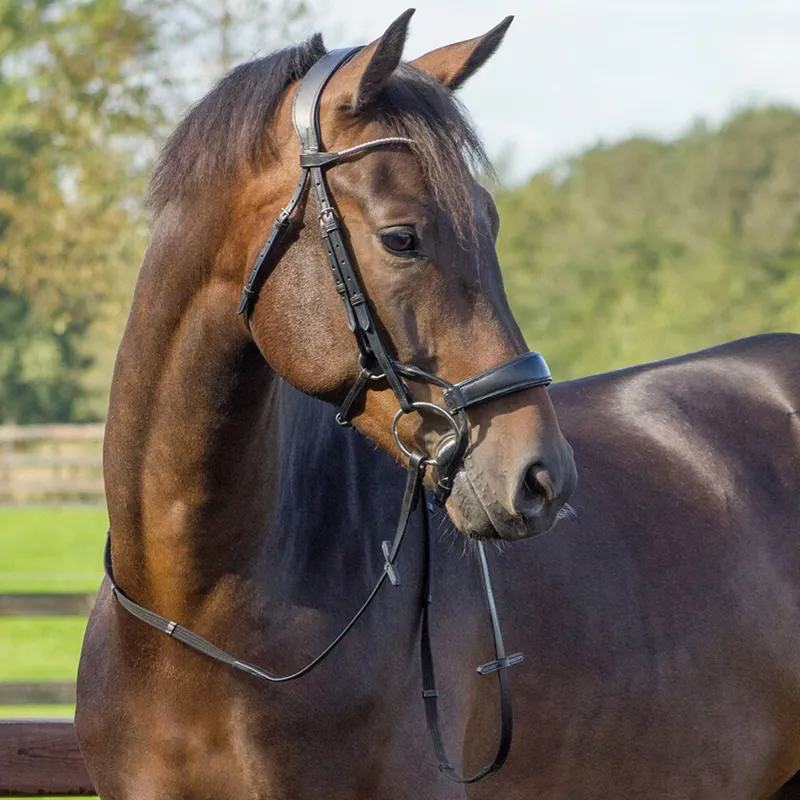 QHP Sedna Bridle with Reins - Black-3
