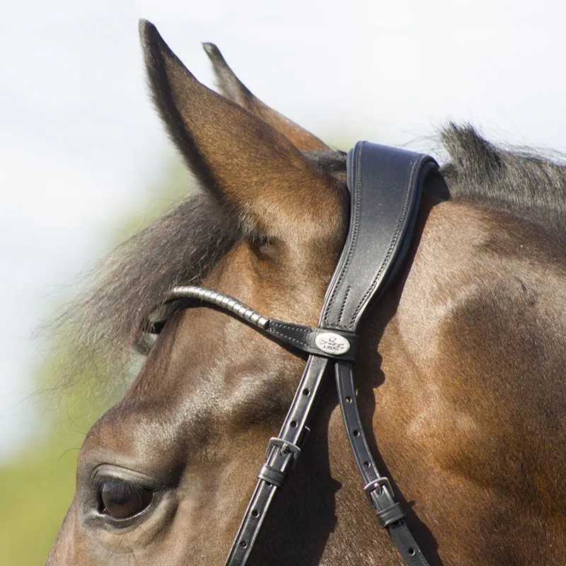 QHP Sedna Bridle with Reins - Black-2