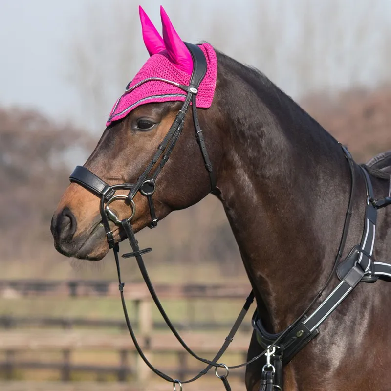 QHP Sedna Bridle with Reins - Black-1
