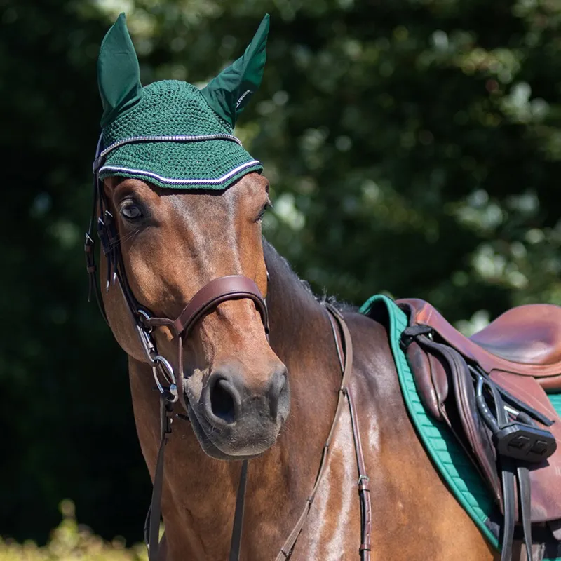 QHP Sedna Bridle with Reins - Brown-2