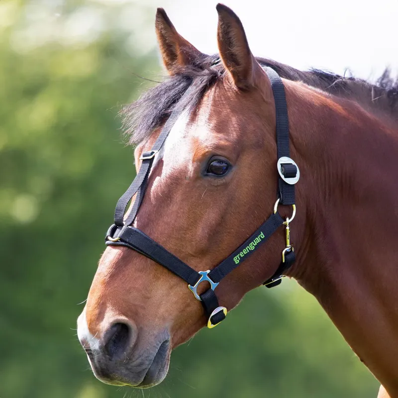 Shires Greenguard Halter - Black