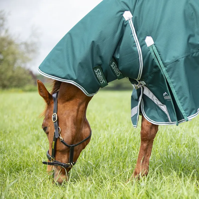 Shires Highlander Original 300g Combo Turnout Blanket - Green-6