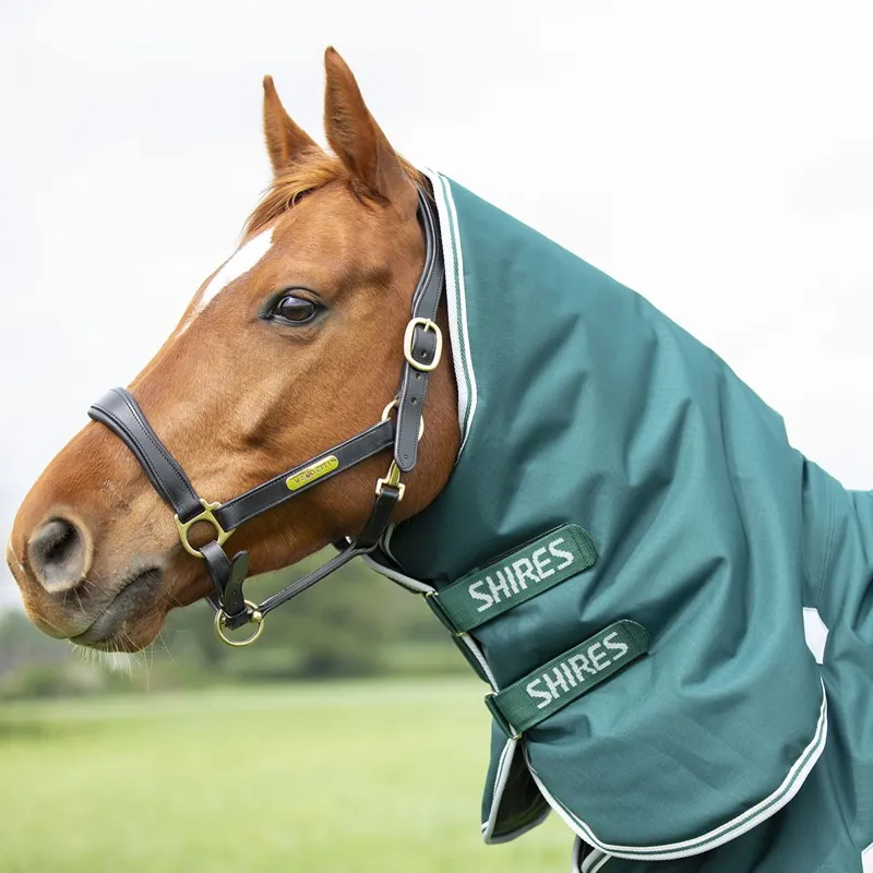 Shires Highlander Original 300g Combo Turnout Blanket - Green-4