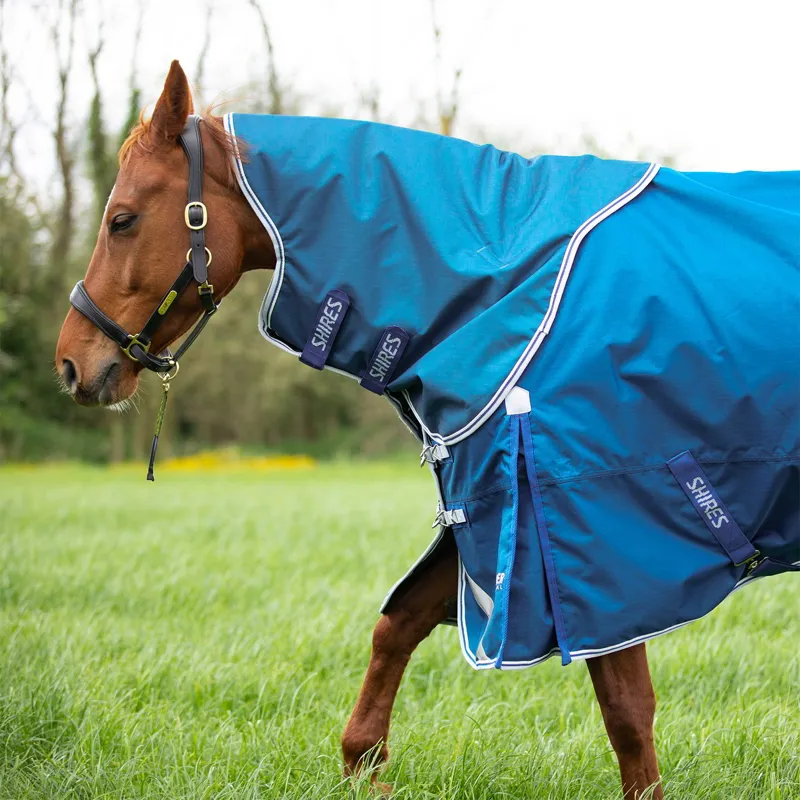 Shires Highlander Original 200g Detach-A-Neck Turnout Blanket - Blue-4