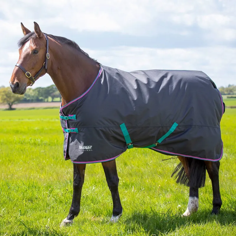 Shires Tempest Original 300g Standard Neck Turnout Blanket - Black