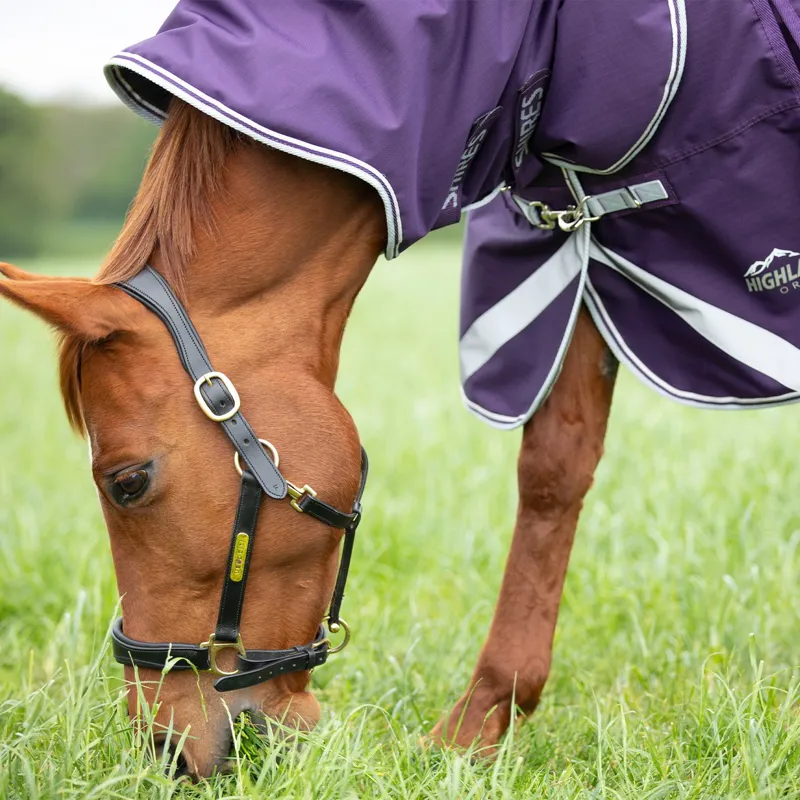 Shires Highlander Original 100g Detach-A-Neck Turnout Blanket - Plum-6