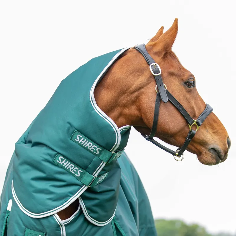 Shires Highlander Original 300g Turnout Neck Cover - Green