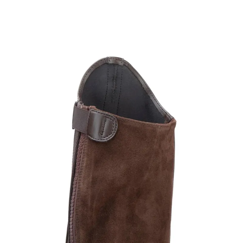Moretta Synthetic Adult Riding Half Chaps - Brown-4
