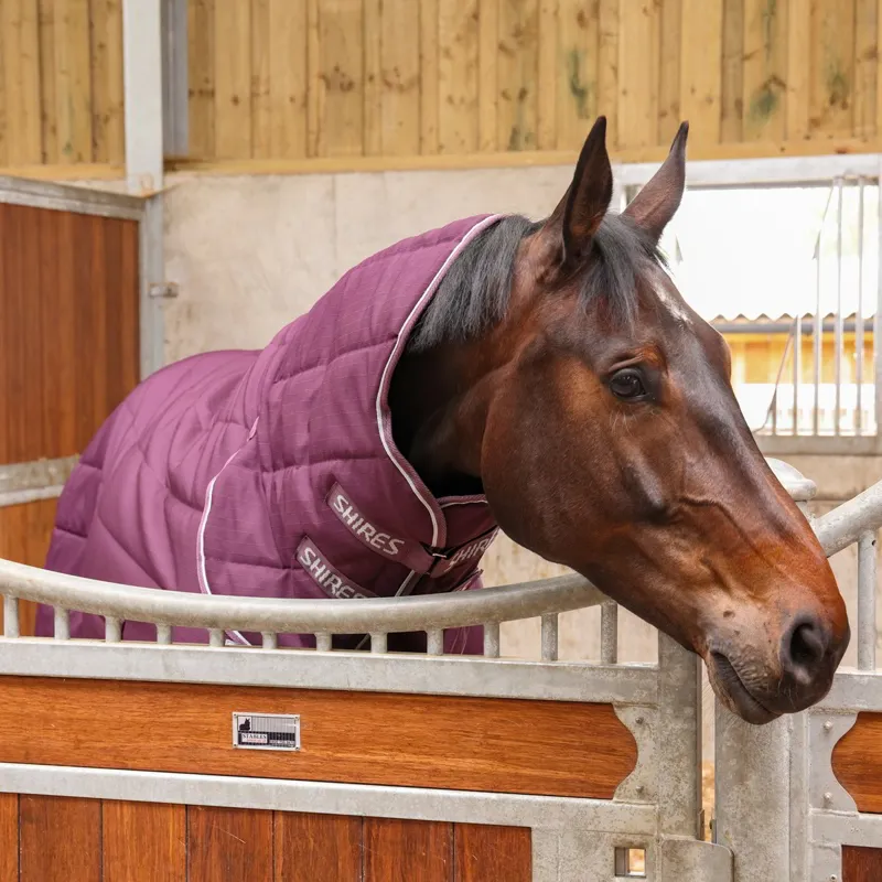 Shires Tempest Original 600D 300 Combo Stable Blanket - Burgundy