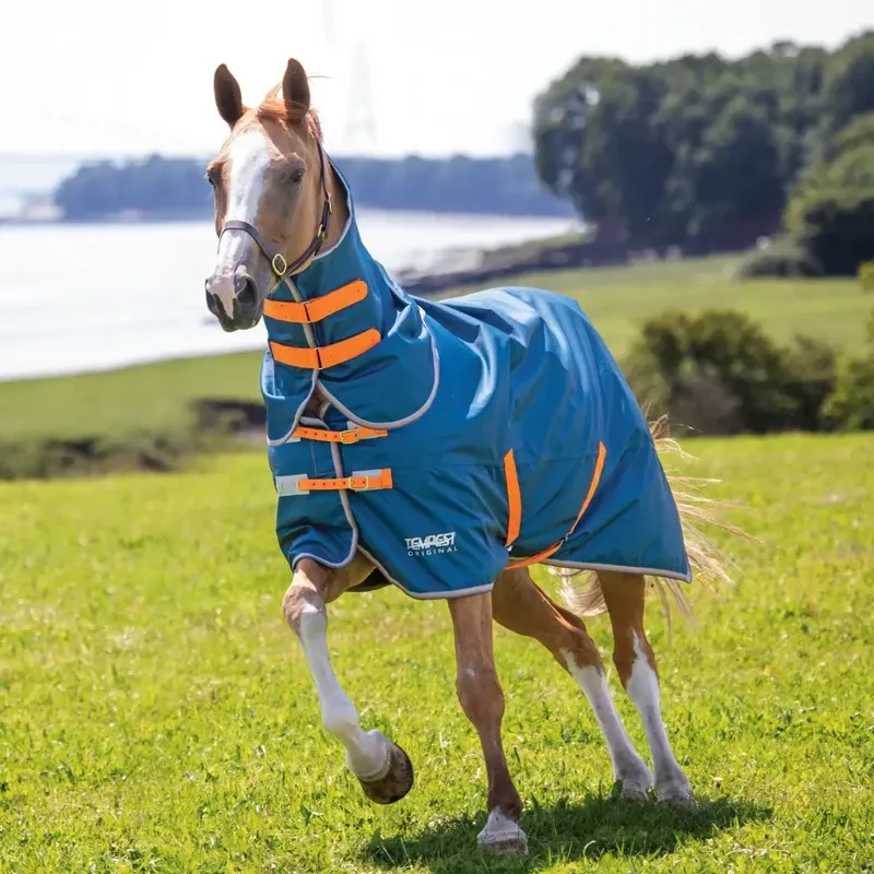Shires Tempest Original Lite 0g Detachable Neck Turnout Sheet - Teal