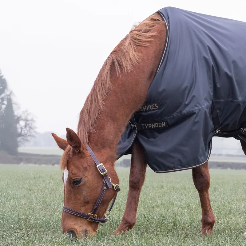 Shires Typhoon 50g Standard Neck Turnout Blanket - Black-3