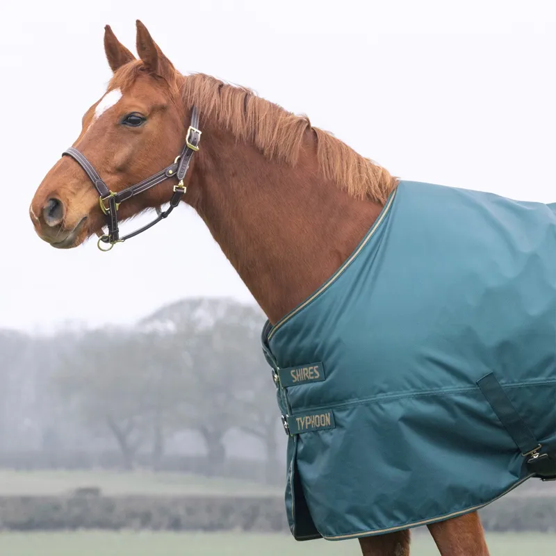 Shires Typhoon 200g Standard Neck Turnout Blanket - Green-1