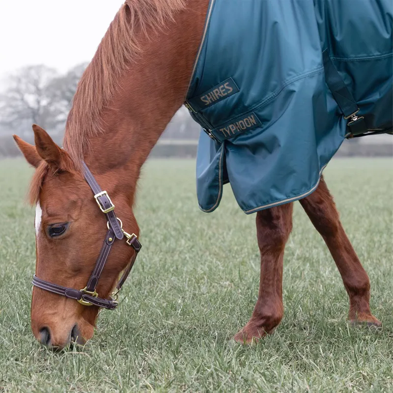 Shires Typhoon 200g Standard Neck Turnout Blanket - Green-3