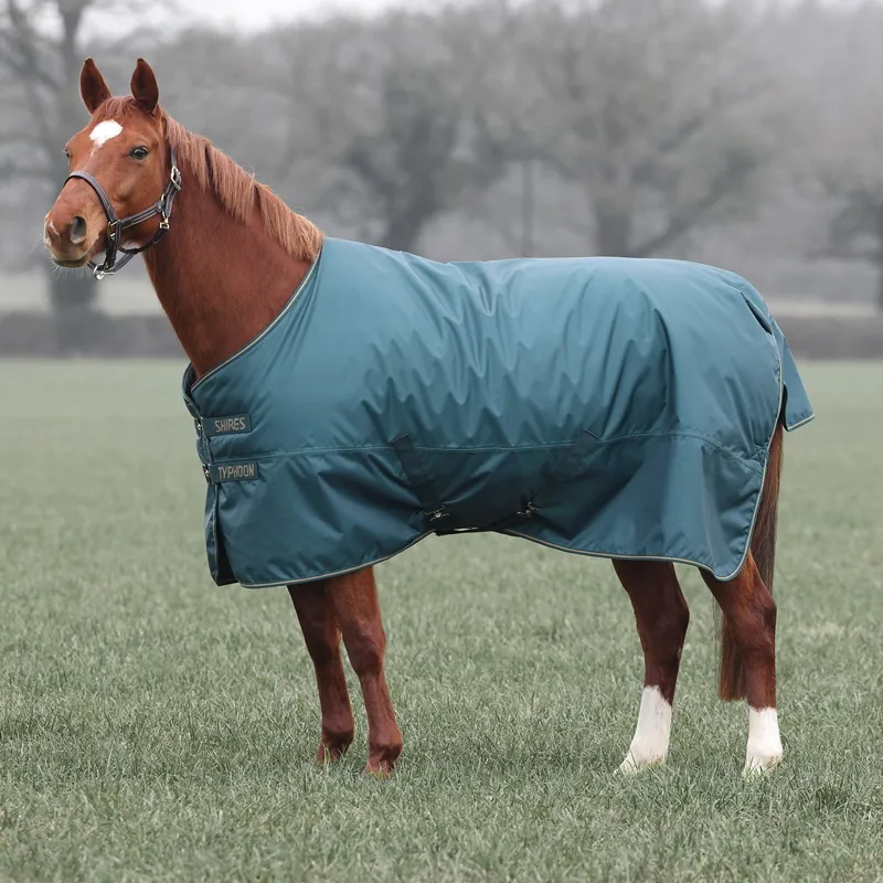 Shires Typhoon 200g Standard Neck Turnout Blanket - Green-5