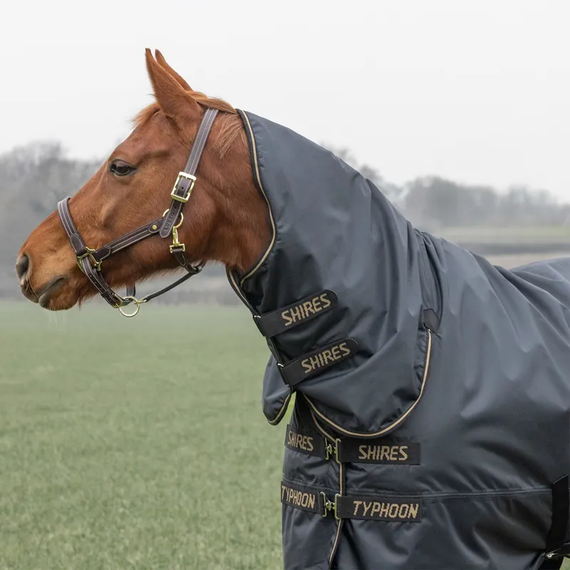 Shires Typhoon 50g Combo Neck Turnout Blanket - Black-1
